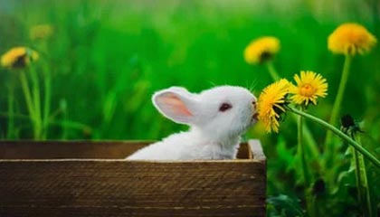 开云APP-RNG选手心理素质培训加强，职业选手心理素质