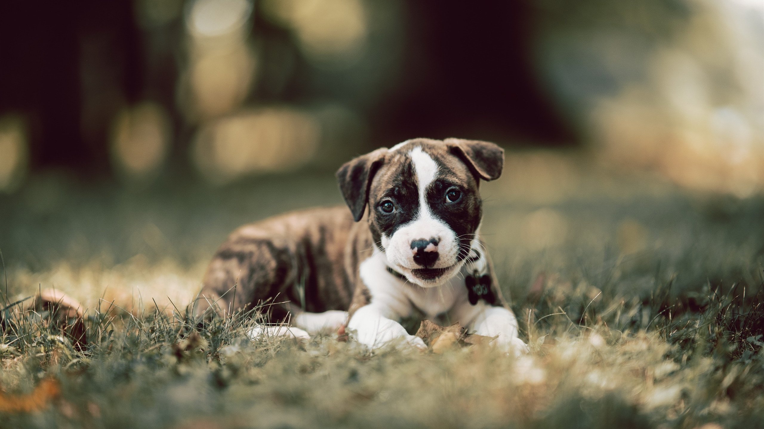 kaiyun 开云体育-DOTA2选手心理素质训练：如何在压力下保持冷静与专注，dota2玩家素质