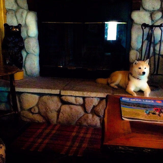 开云体育视频直播-_家庭趣味运动日：亲子互动乐趣多_，家庭趣味运动会图片