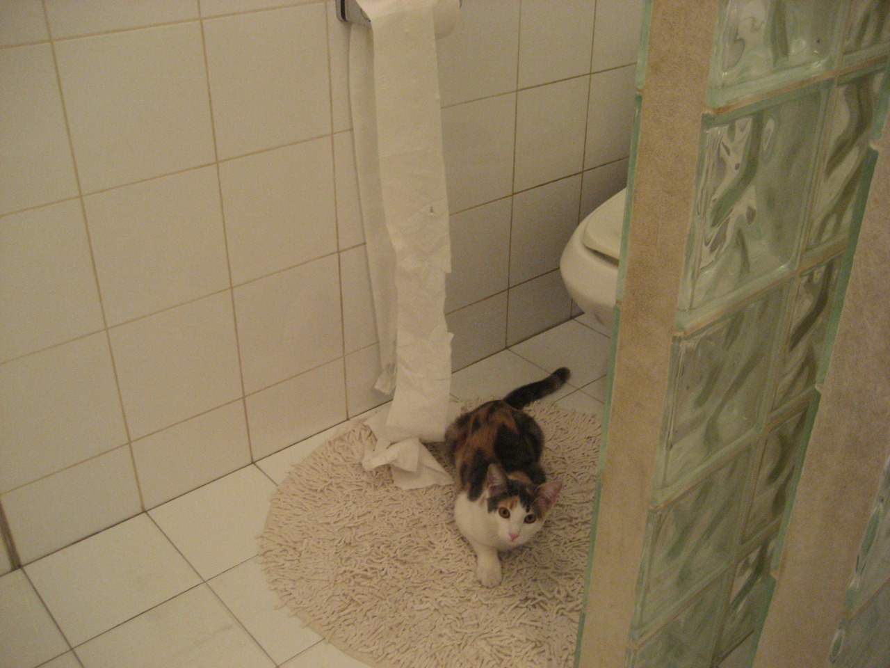 开云官网-_湖人队快速反击，打出精彩表现_，湖人队内单挑