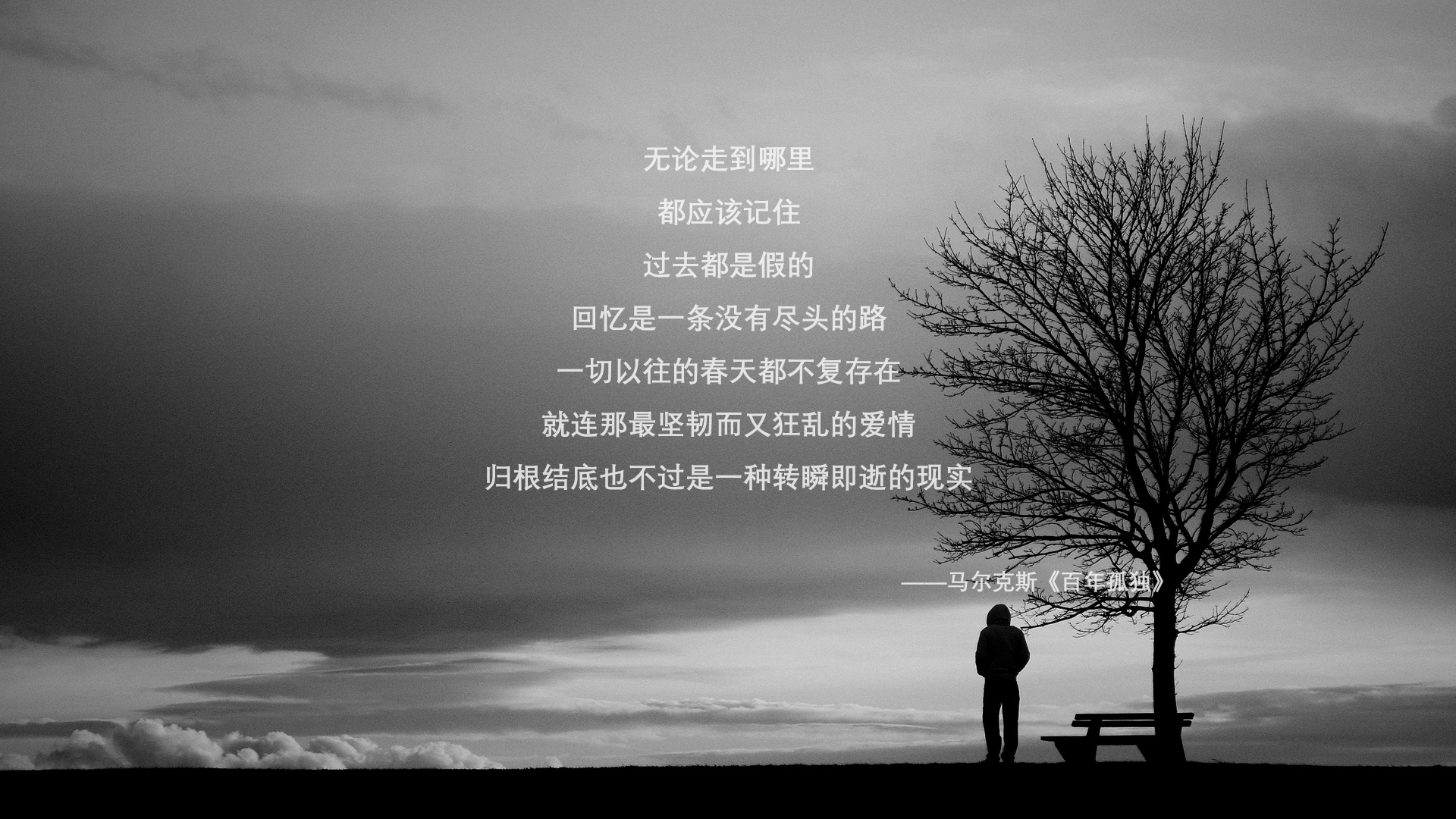 _湖人队快速反击,打出精彩表现_,湖人队内单挑