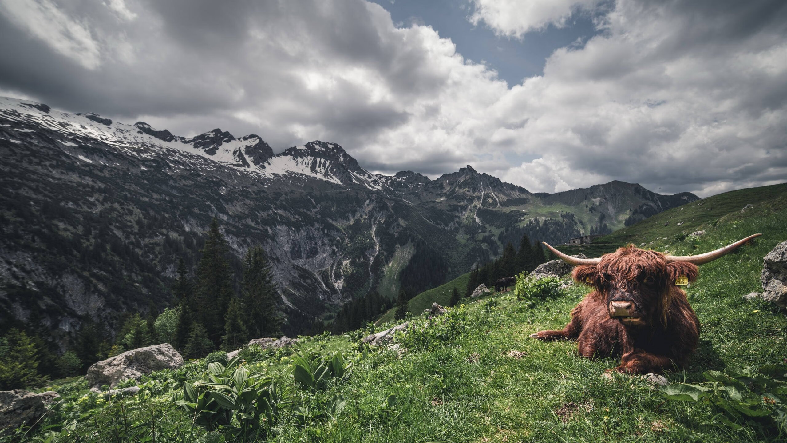开云官方网站-_温暖瞬间：运动员赛后帮助对手站起来_，运动员受伤后继续比赛的精神