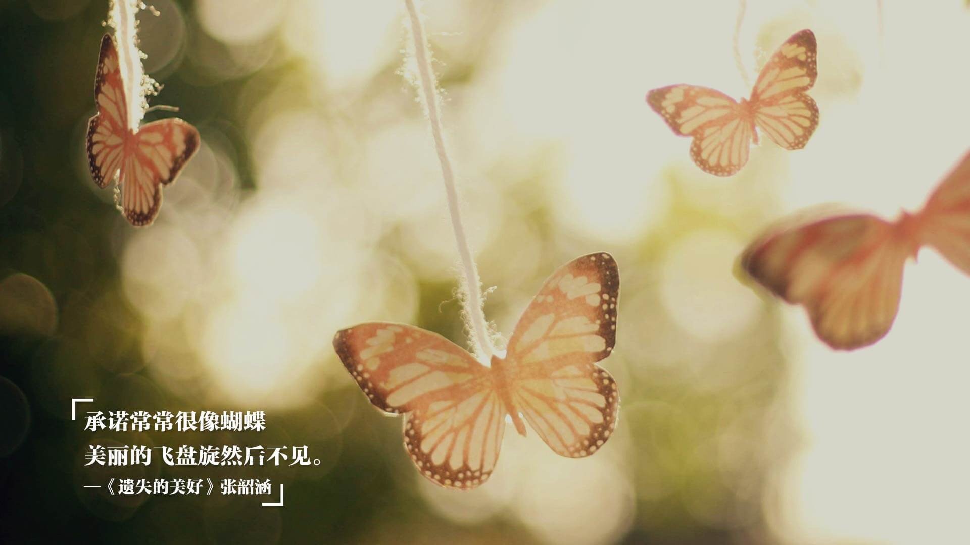 kaiyun登录入口-“最燃终场：对决中的最后一秒奇迹”，最终对决4.8