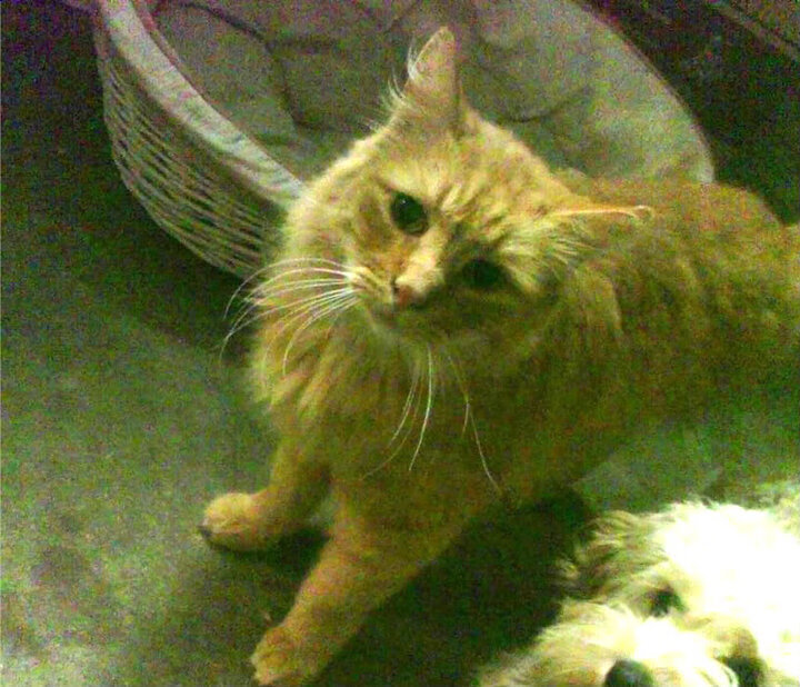 开云-“超越自我：车手的心灵疾驰”