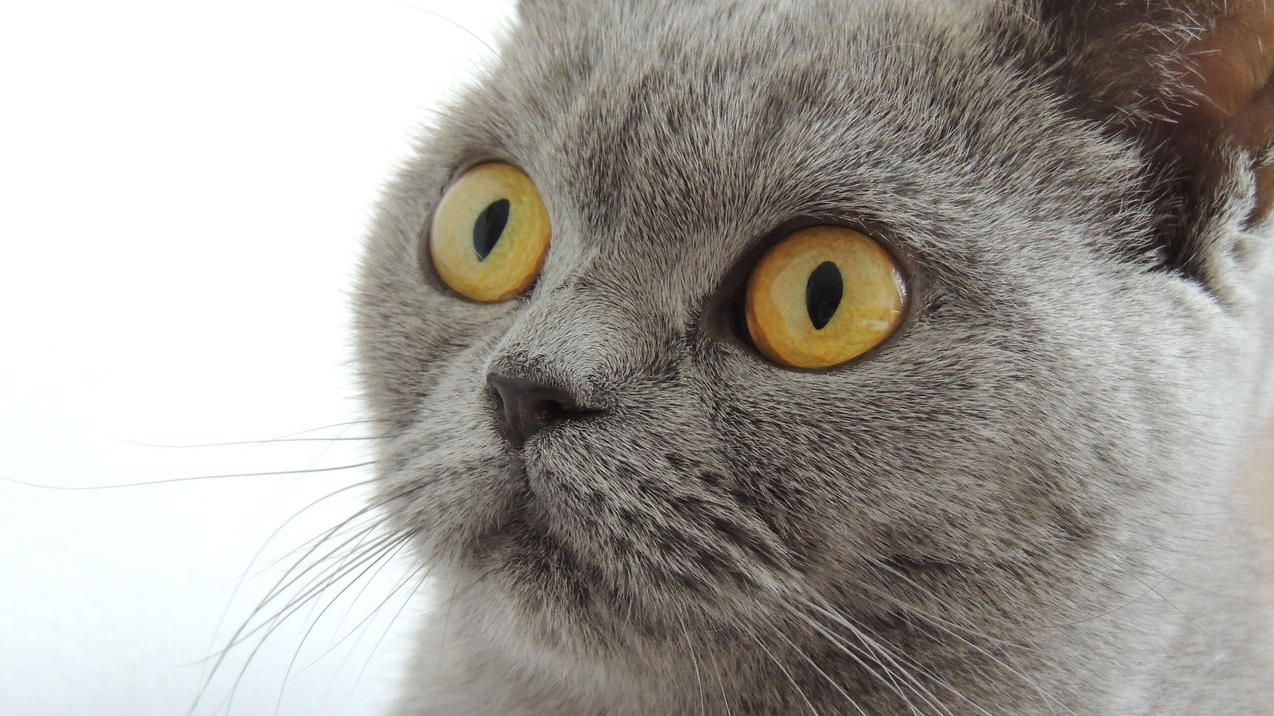 开云官网首页-“逆转乾坤：经典逆袭瞬间让人热血沸腾”，逆转乾坤笔趣阁