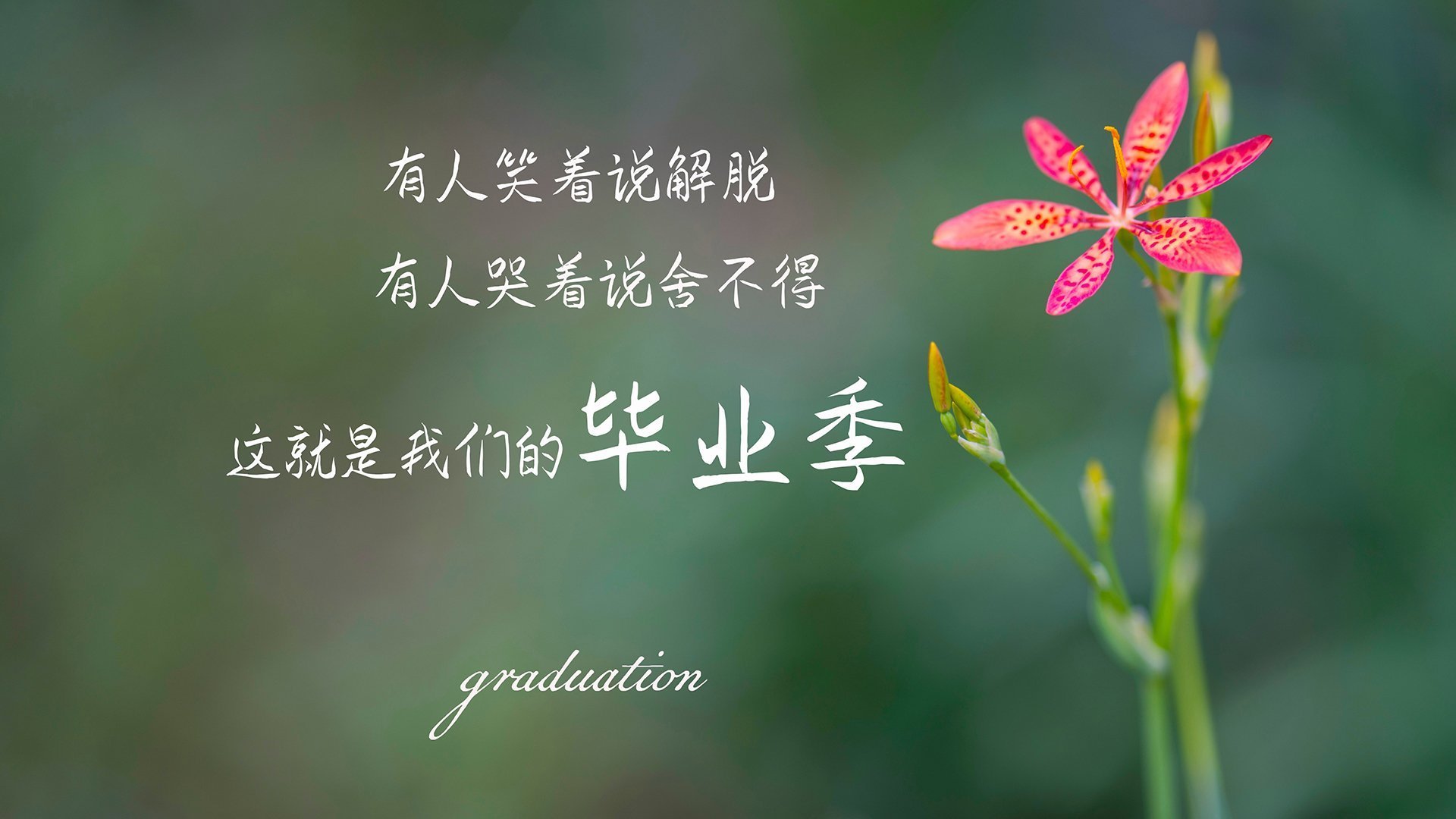 开云·体育全站登录地址-【名将故事】奥沙利文：长青秘诀揭秘，奥沙利文长台集锦