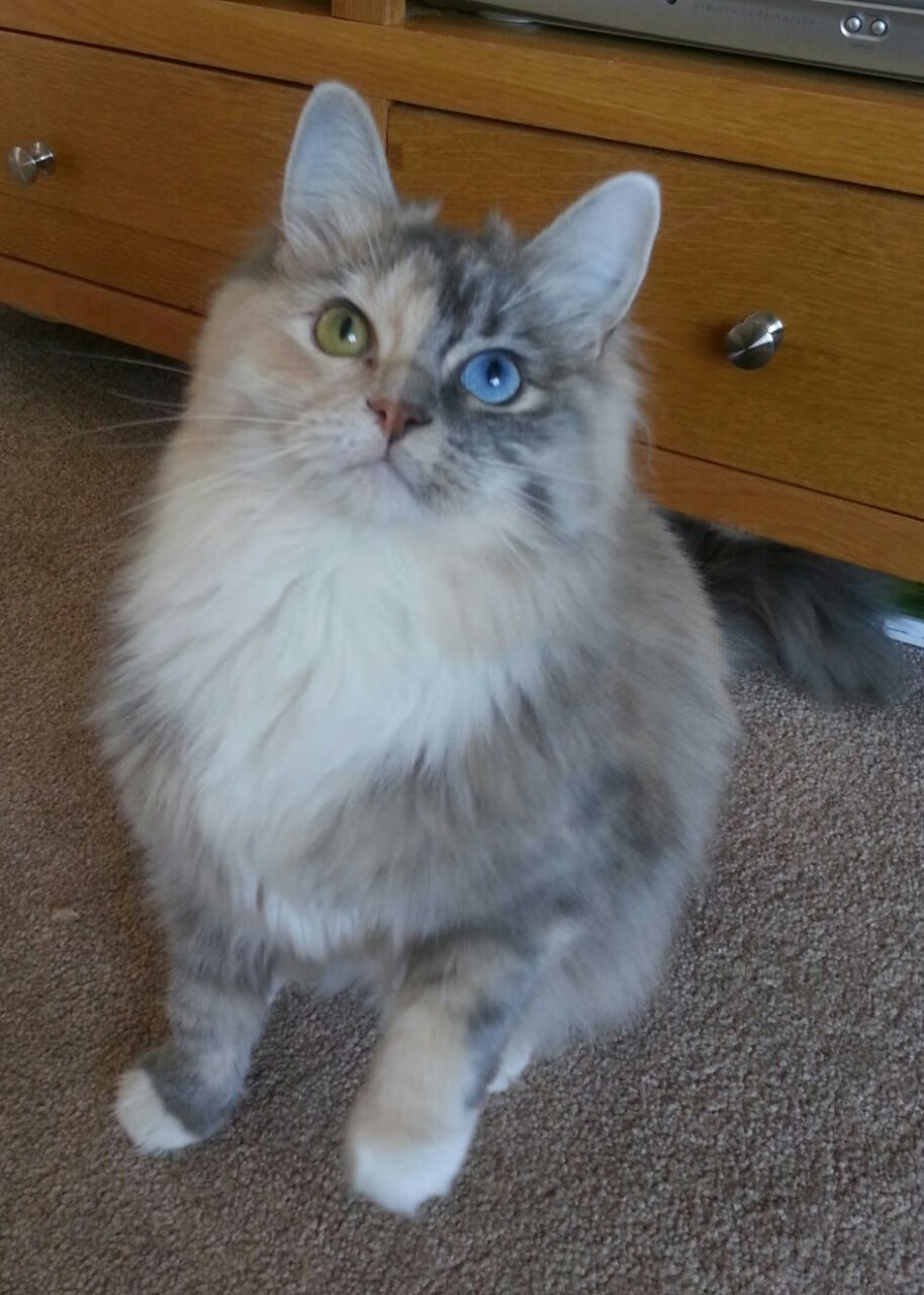 开云网页版-【“悬空球”开启新玩法】攻防战术的新篇章！，悬空是啥