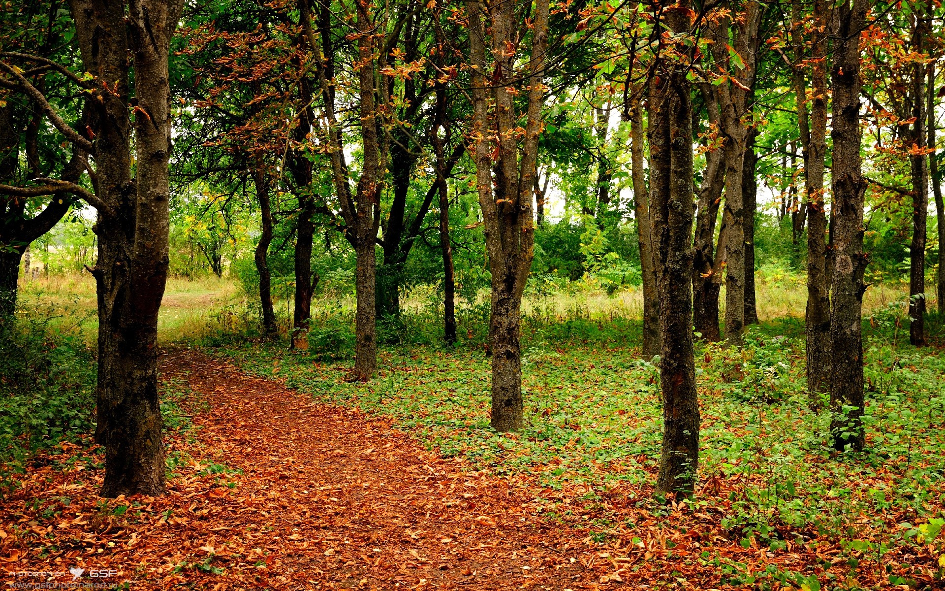 开云官方网页登录-雪地踢球也这么猛？墨西哥队把巴西队踢“滑倒”了，巴西墨西哥比赛