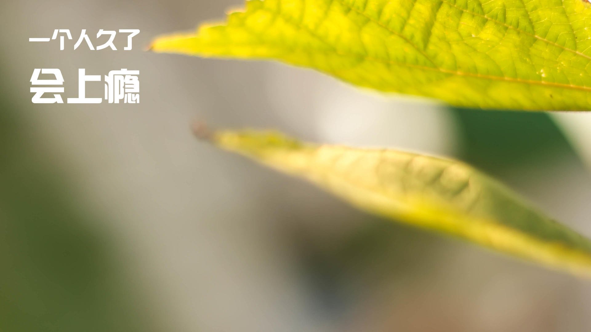 开云·体育官网-马刺在加时赛中逆转击败活塞，德罗赞多次关键得分！，马刺交易德罗赞到鹈鹕