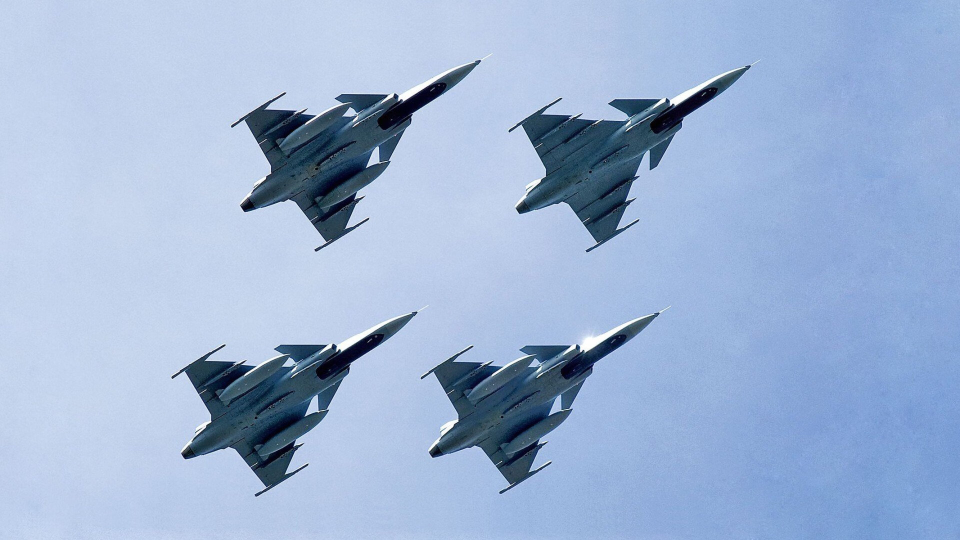 开云·体育官网APP下载-比利时马术协会建立马术运动伤害预防中心，保障运动员安全。，比利时马犬比赛视频