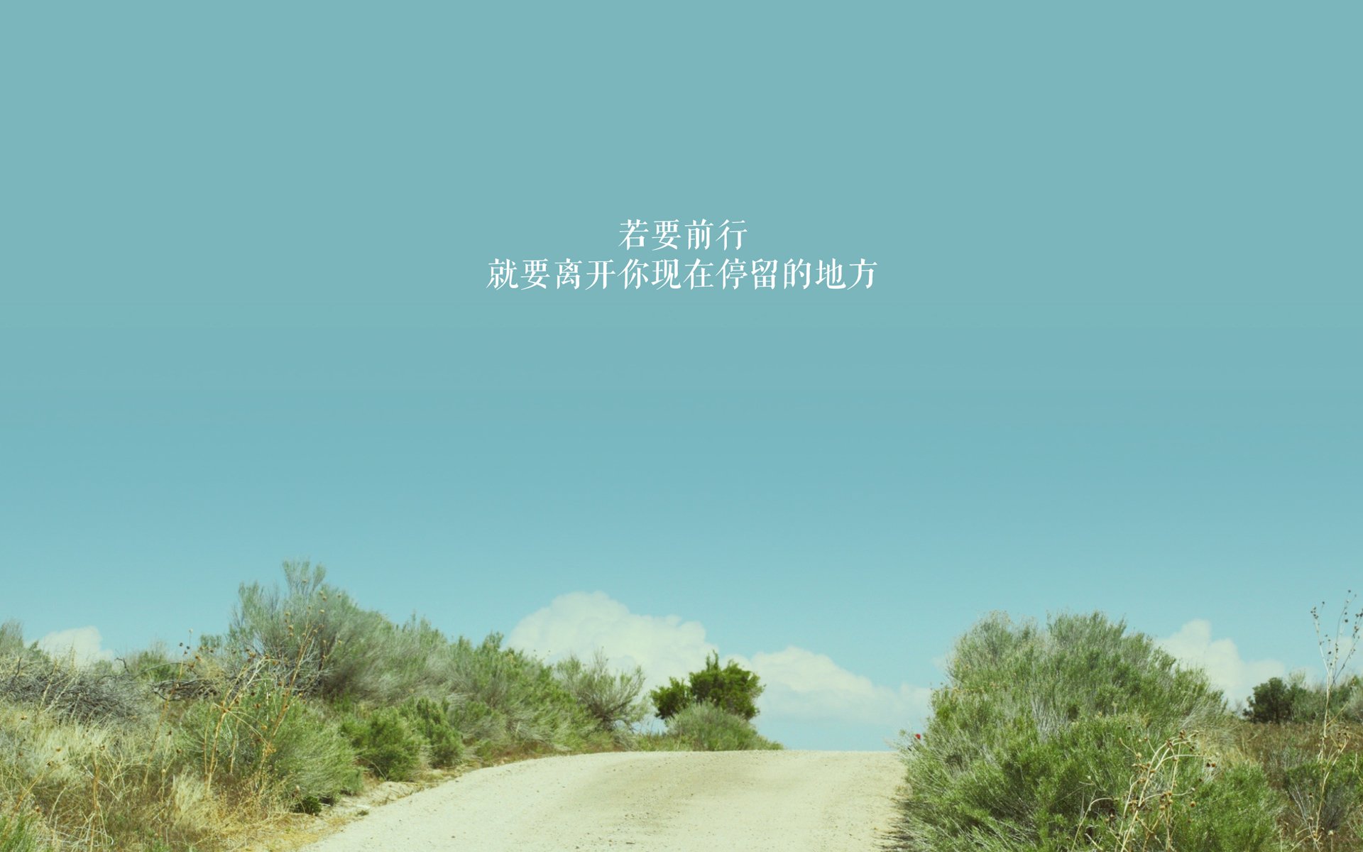 kaiyun开云·官方网站-黄蜂中锋健康状况再度恶化 球队前景堪忧，黄蜂现在的球员名单