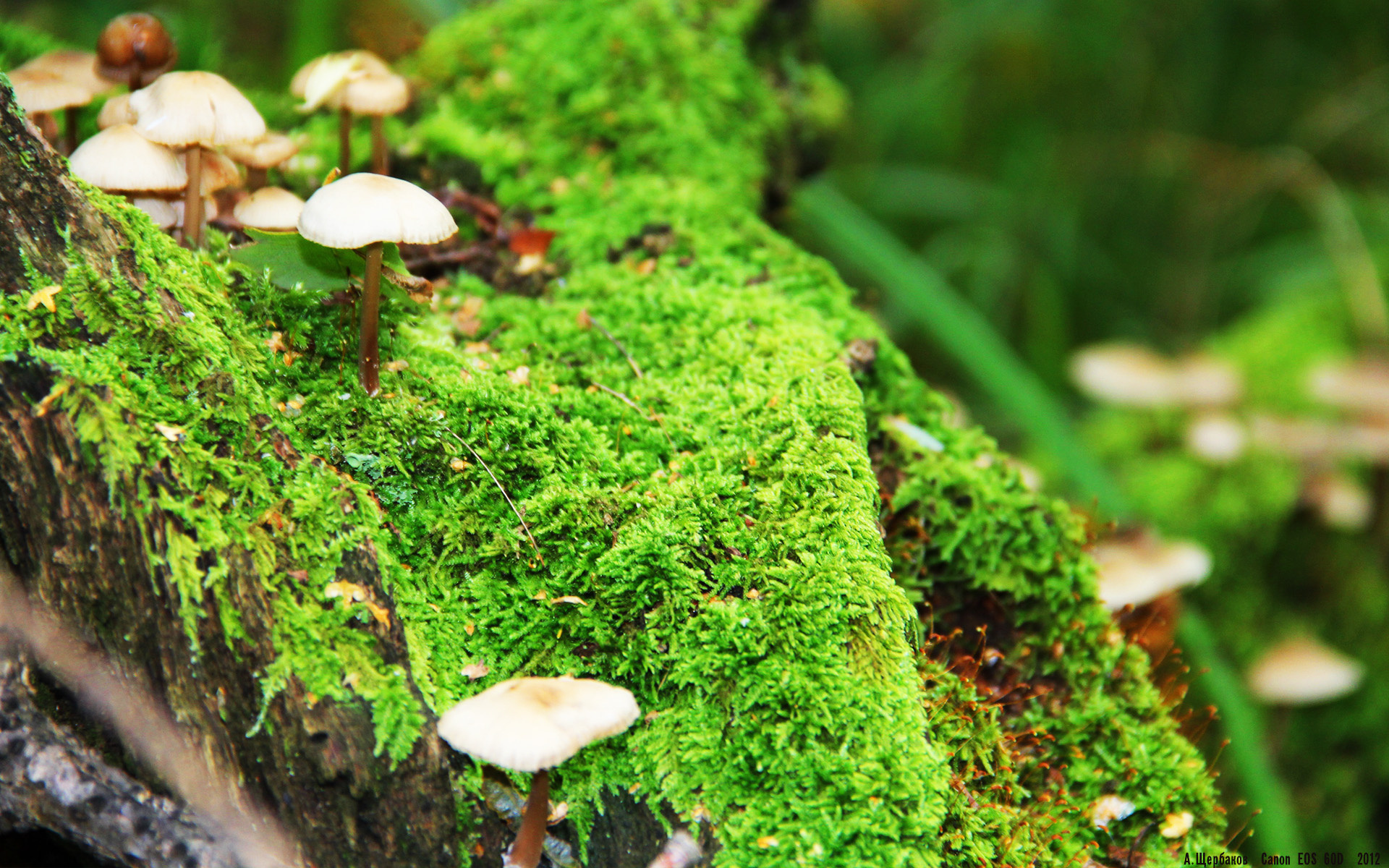 开云-大学生体质健康水平长期跟踪机制与数据管理，大学生体质健康现状