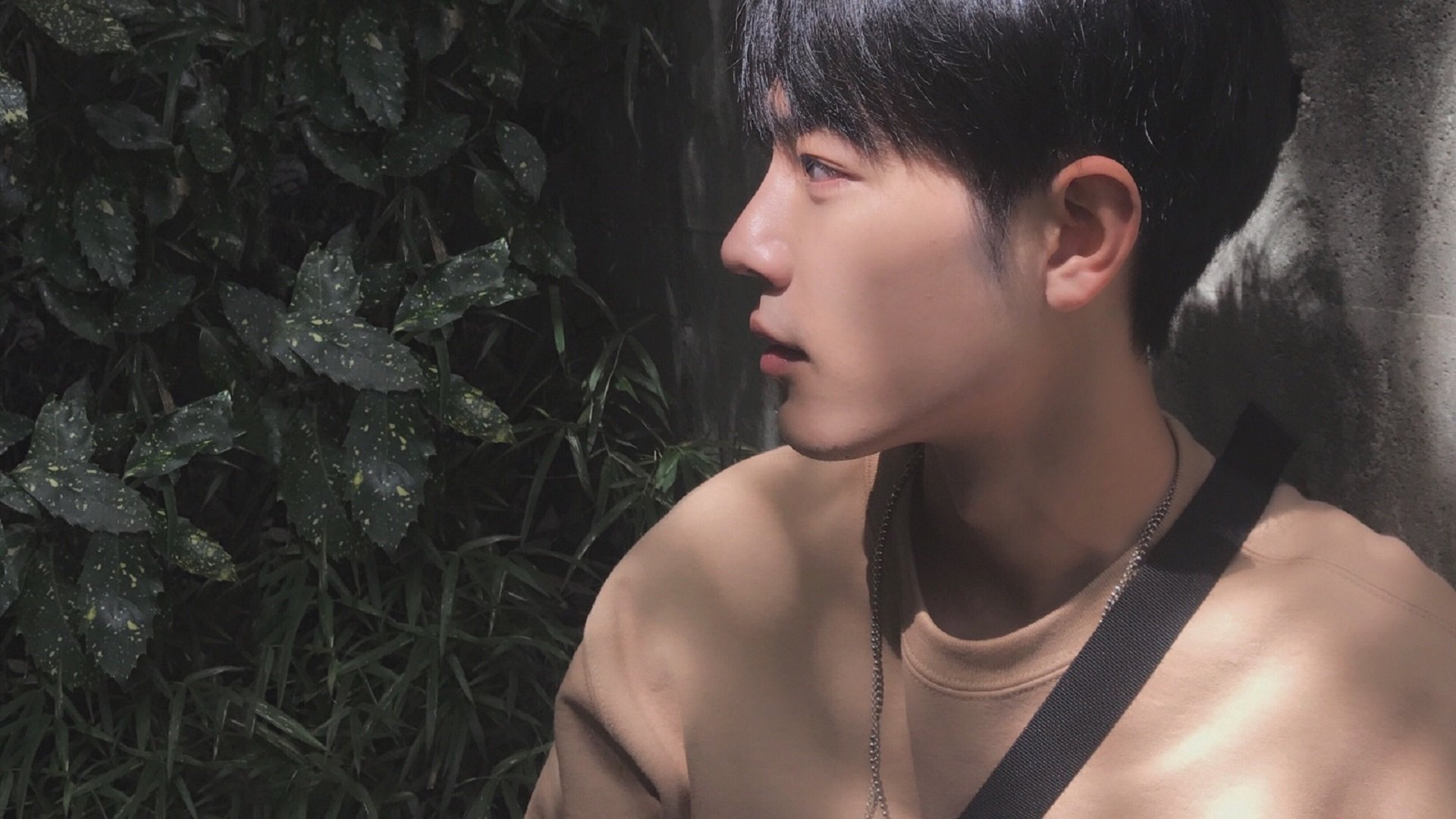 开云官方网页登录-英超球队主教练更替对球队短期战绩的影响评估，英超联赛教练