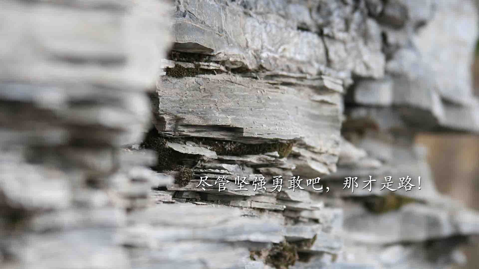 kaiyun体育app-赛季争冠与保级球队后劲释放能力对比，保级球队夺冠