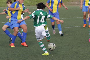 开云官网首页-中国足球国家队备战友谊赛调整战术策略，国足 友谊赛