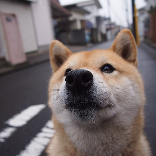 开云网页版-卢卡·乌兰多：挑战就是前进的动力，卢卡和罗兰