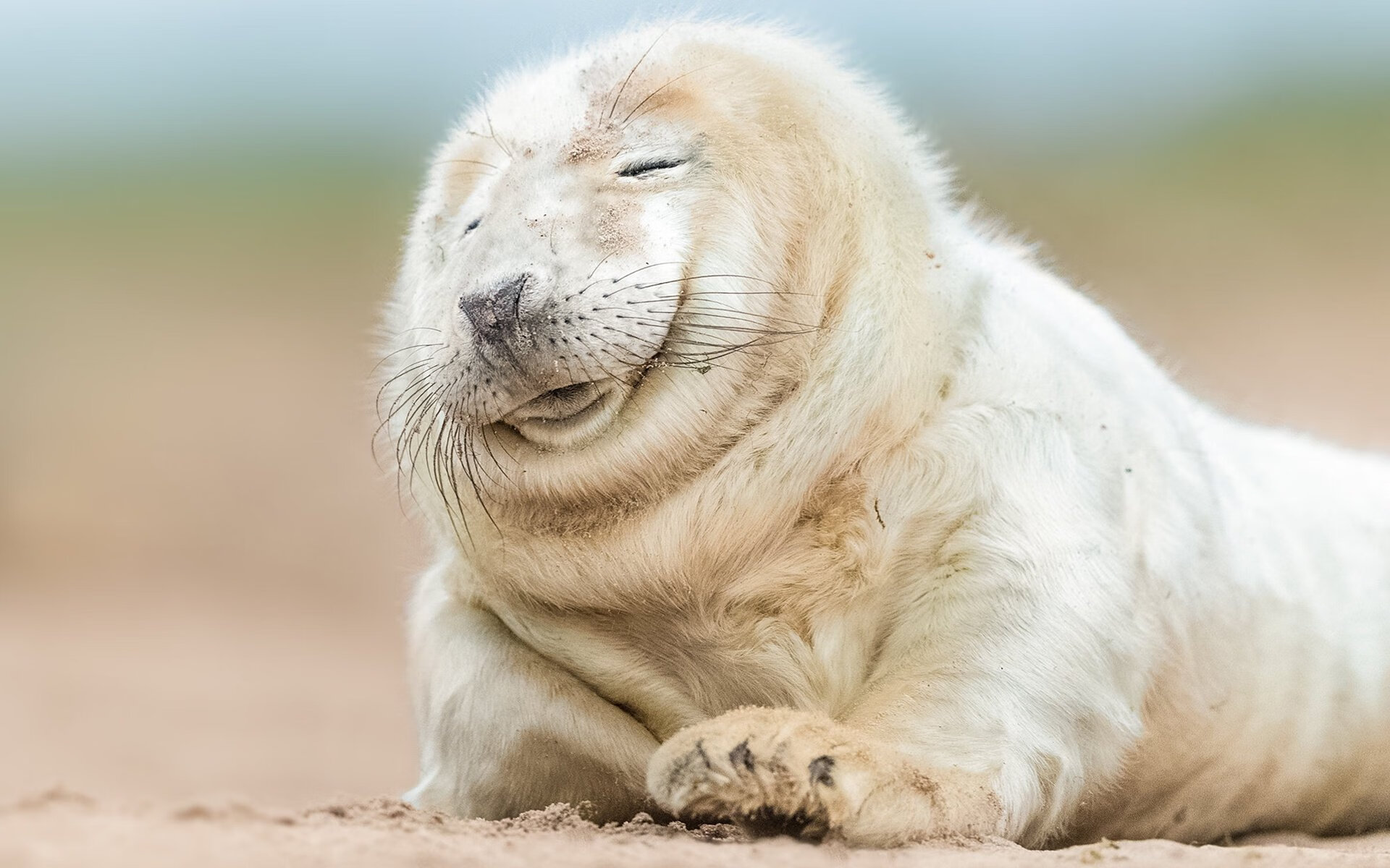 开云体育网页版入口-掘金计划启用二队球员测试比赛节奏适应度，掘金队的比赛